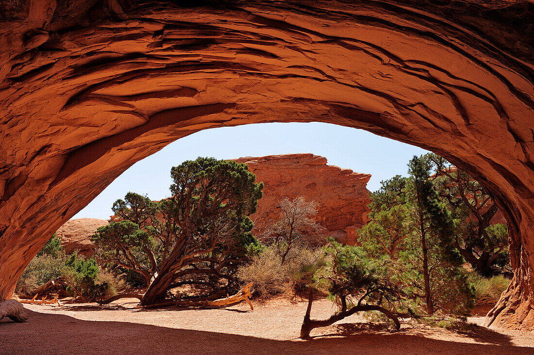 Blick durch Felsbogen Navajo Arch, Arches Nationalpark, Moab, Utah, Südwesten, USA, Amerika