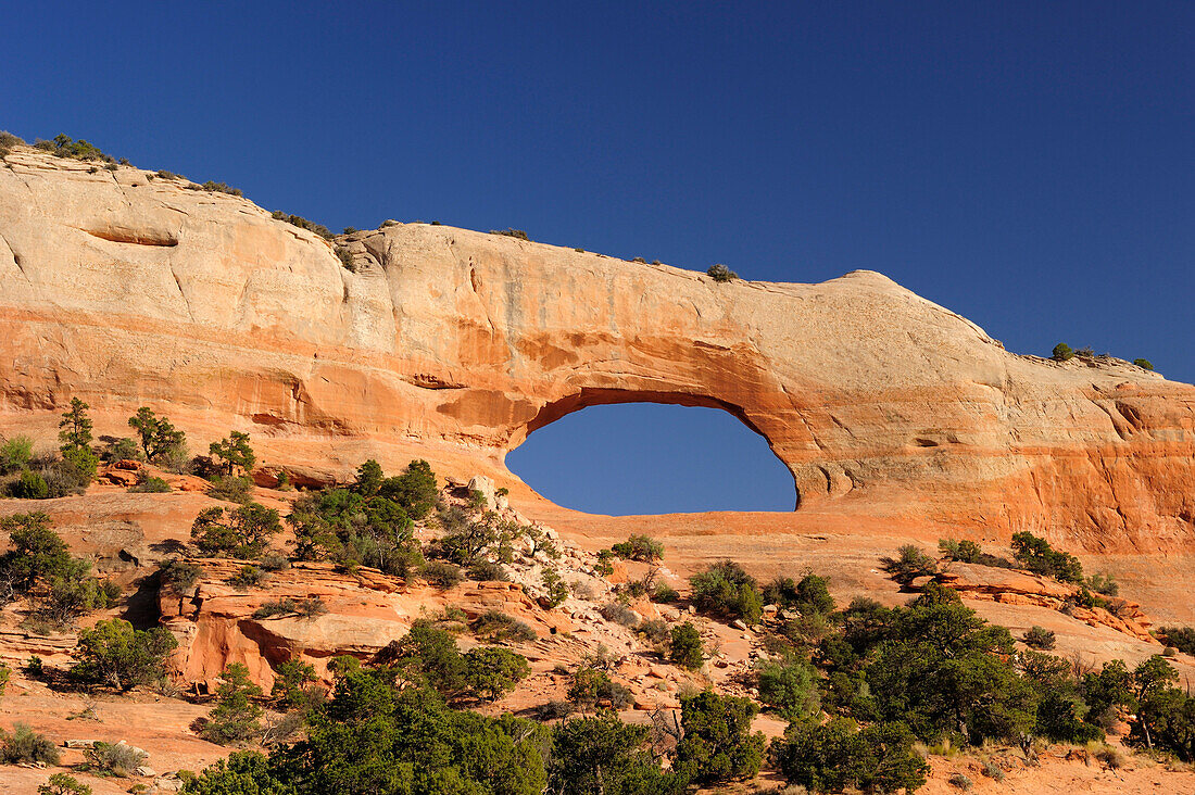 Blick auf den Wilson Arch, Moab, Utah, Südwesten, USA, Amerika