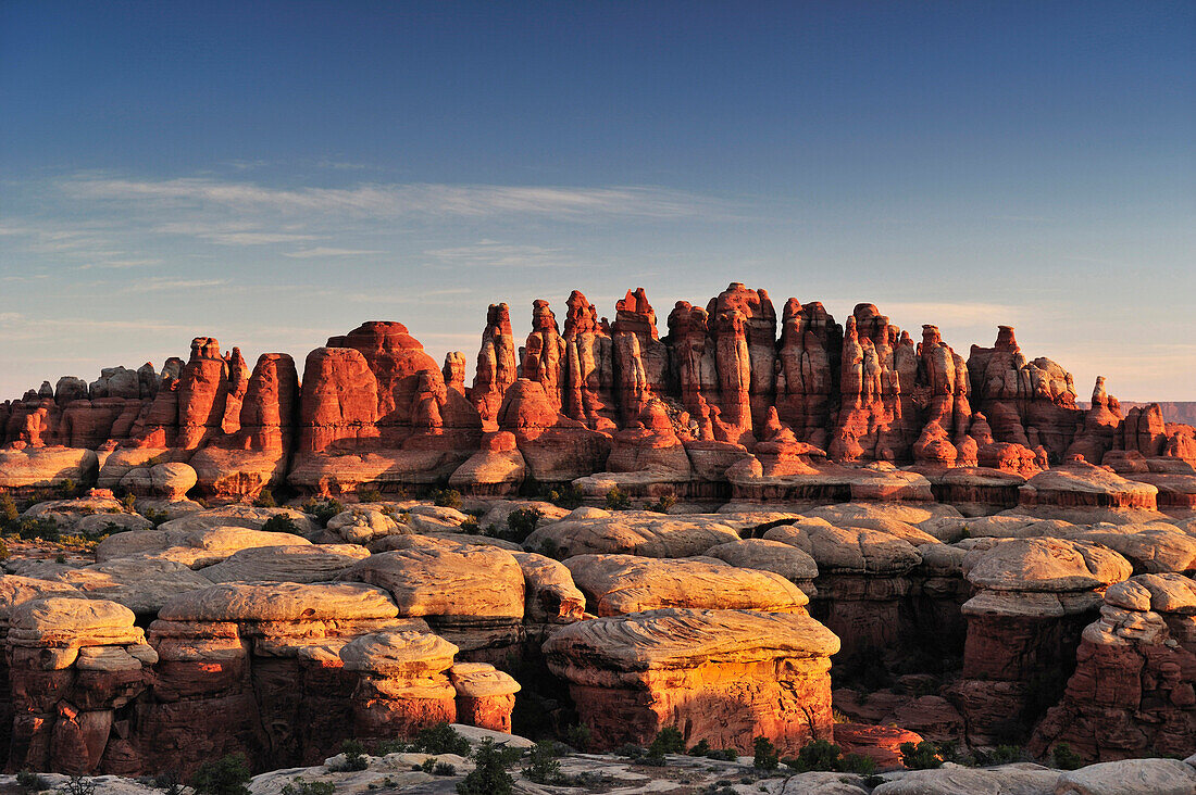 Rock spires in Chesler Park, Needles Area, Canyonlands National Park, Moab, Utah, Southwest, USA, America