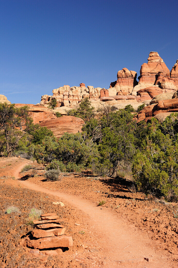 Trail leading towards rock spires in Chesler Park, Needles Area, Canyonlands National Park, Moab, Utah, Southwest, USA, America