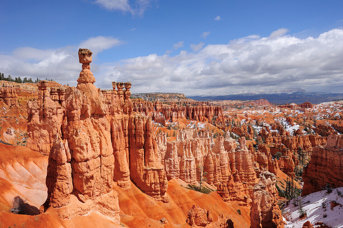 Felsturm Thors Hammer im Bryce Canyon, Bryce Canyon Nationalpark, Utah, Südwesten, USA, Amerika