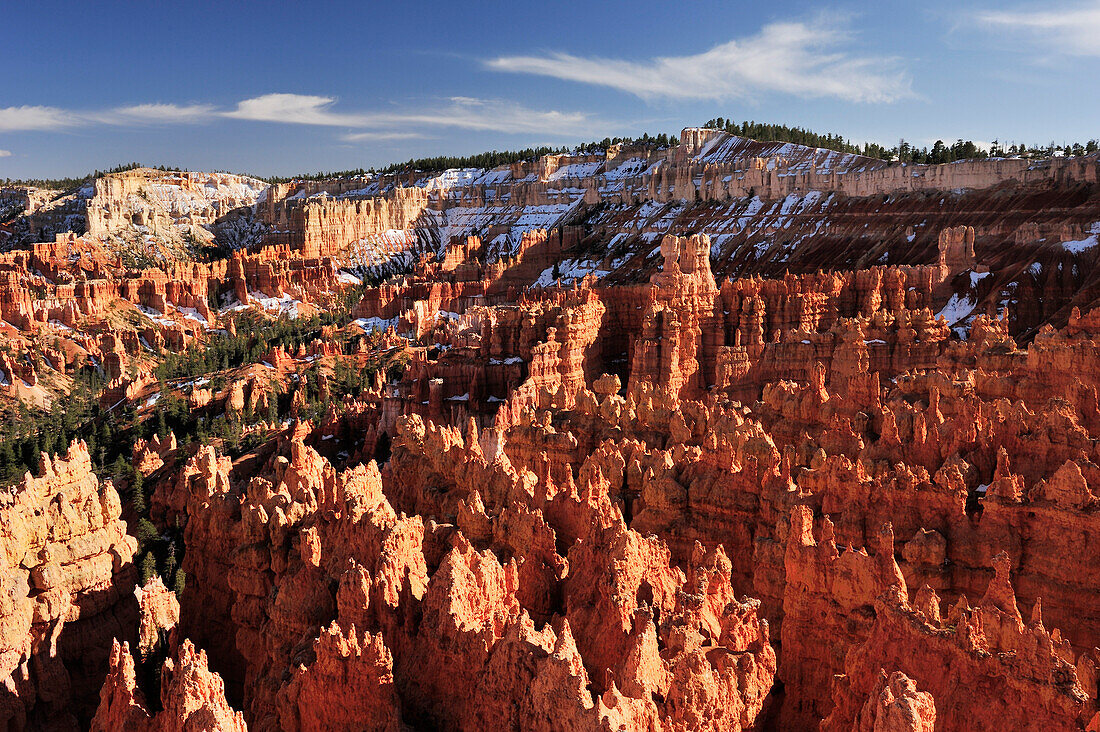 Rock spires in Bryce Canyon, Bryce Canyon National Park, Utah, Southwest, USA, America