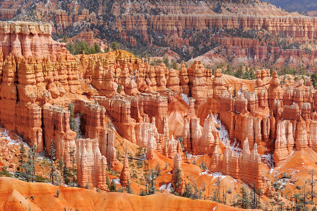 Felstürme im Bryce Canyon, Bryce Canyon Nationalpark, Utah, Südwesten, USA, Amerika