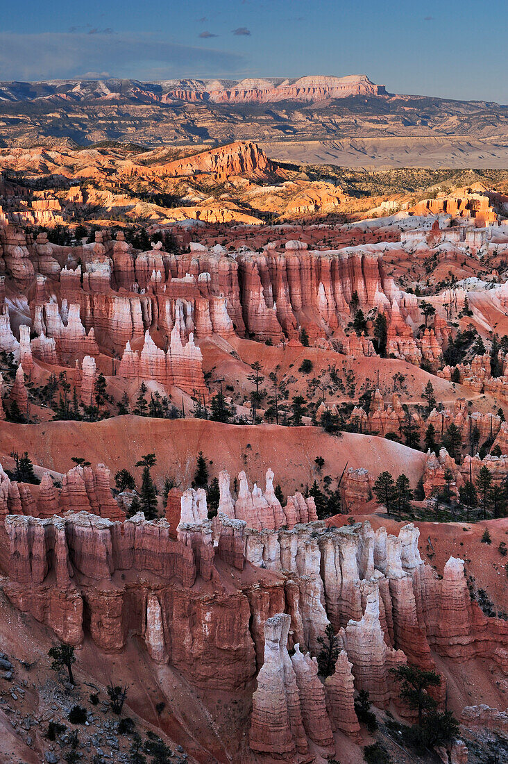 Rock spires in Bryce Canyon, Bryce Canyon National Park, Utah, Southwest, USA, America