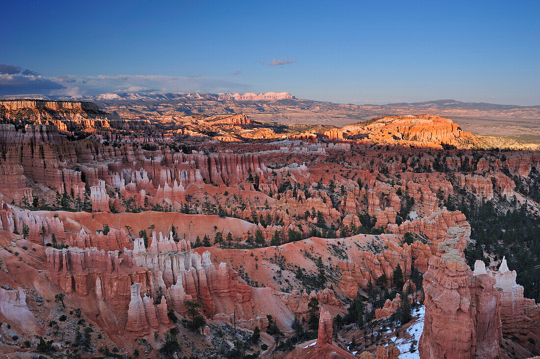 Felstürme im Bryce Canyon, Bryce Canyon Nationalpark, Utah, Südwesten, USA, Amerika