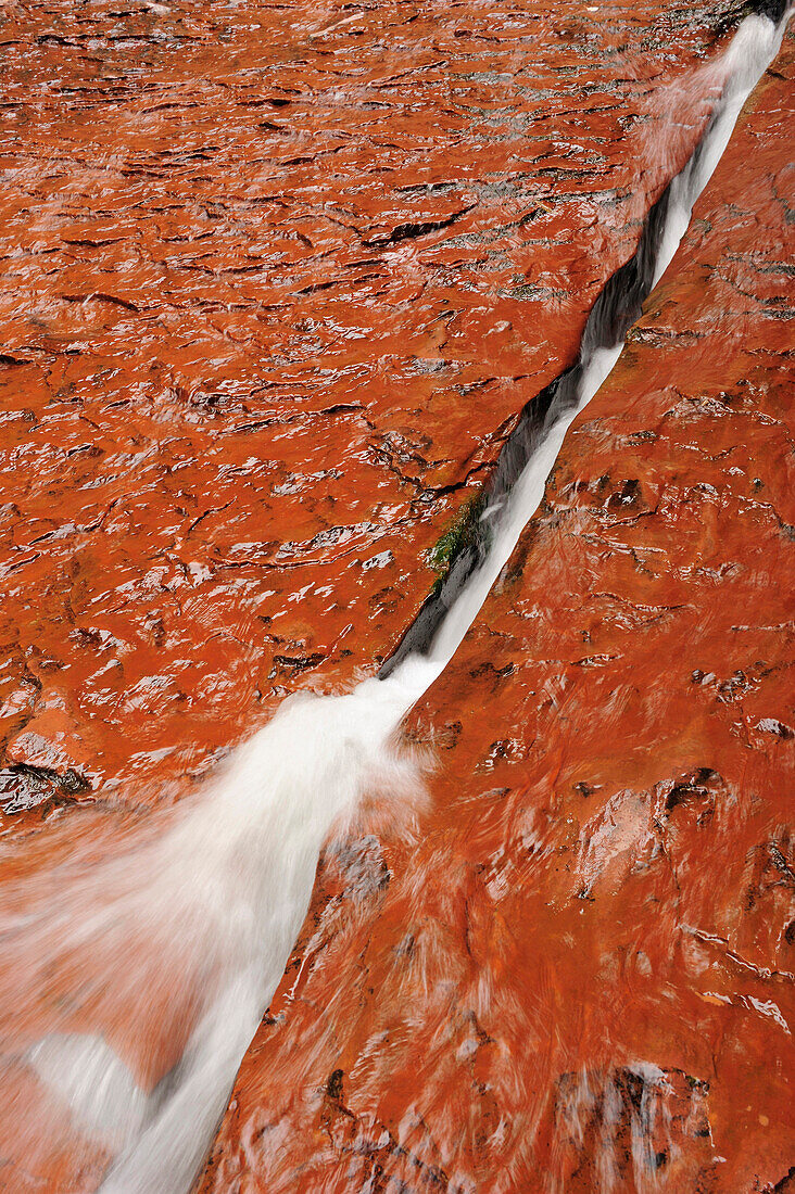 Wasser läuft durch Felsspalte, Subway, North Creek, Zion Nationalpark, Utah, Südwesten, USA, Amerika
