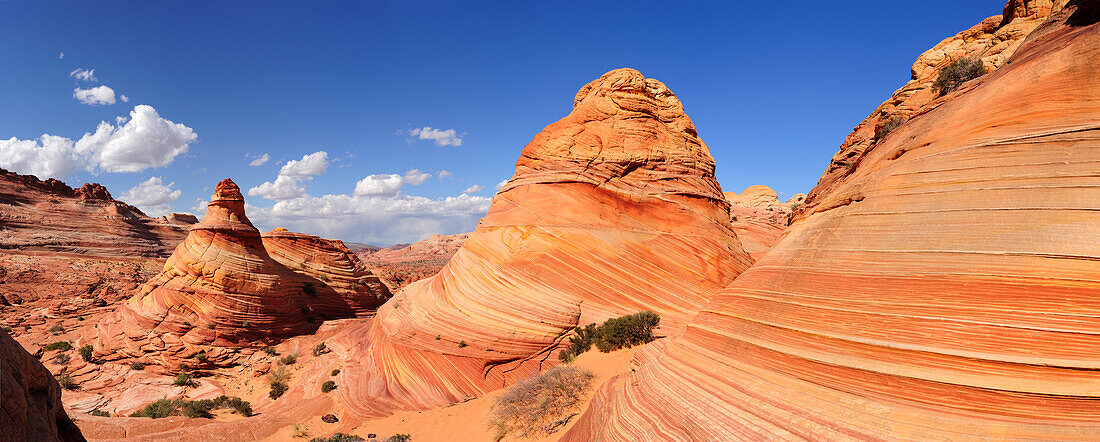 Panorama von roten Sandsteinkegeln, Coyote Buttes, Paria Canyon, Vermilion Cliffs National Monument, Arizona, Südwesten, USA, Amerika