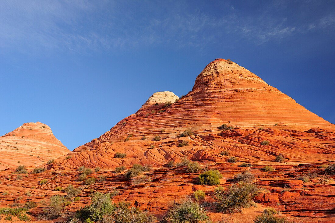Rote Sandsteinkegel, Coyote Buttes, Paria Canyon, Vermilion Cliffs National Monument, Arizona, Südwesten, USA, Amerika