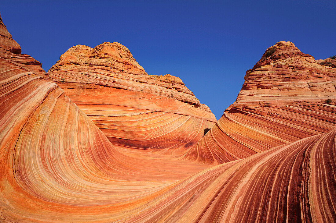 Red sandstone formation under blue sky, The Wave, Coyote Buttes, Paria Canyon, Vermilion Cliffs National Monument, Arizona, Southwest, USA, America