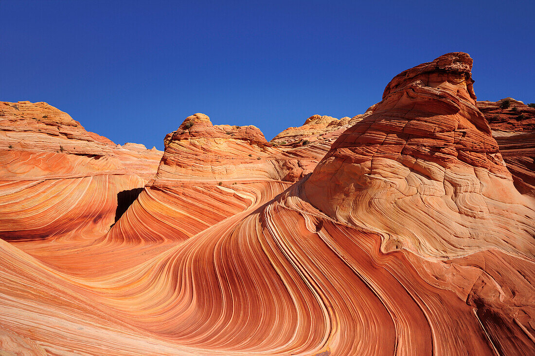 Red sandstone formation under blue sky, The Wave, Coyote Buttes, Paria Canyon, Vermilion Cliffs National Monument, Arizona, Southwest, USA, America