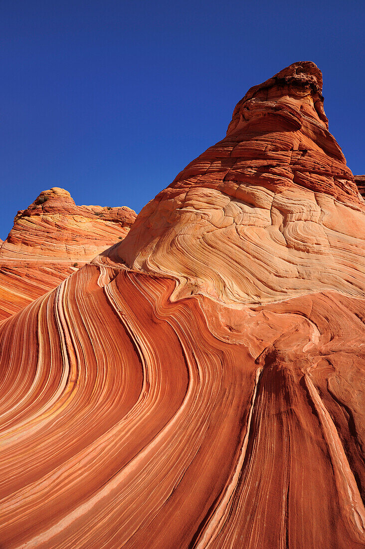 Red sandstone formation under blue sky, The Wave, Coyote Buttes, Paria Canyon, Vermilion Cliffs National Monument, Arizona, Southwest, USA, America