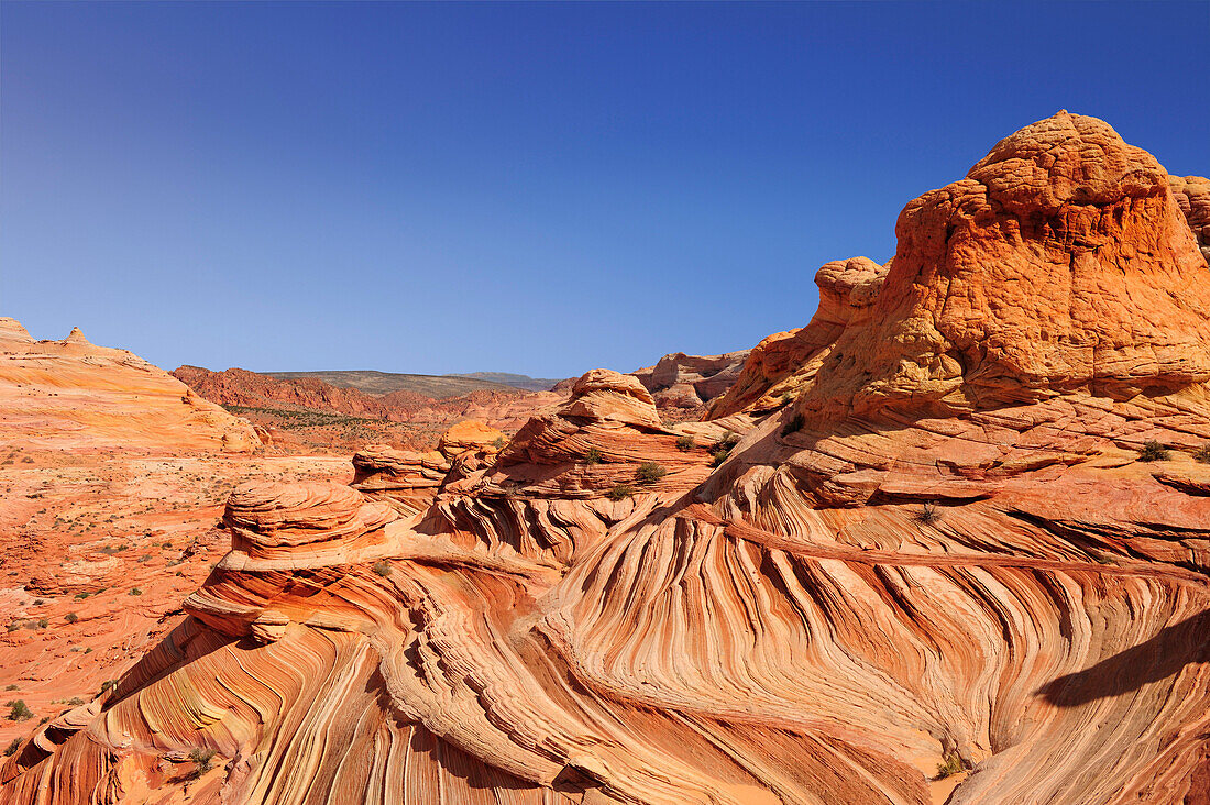 Red sandstone cones in the sunlight, Coyote Buttes, Paria Canyon, Vermilion Cliffs National Monument, Arizona, Southwest, USA, America