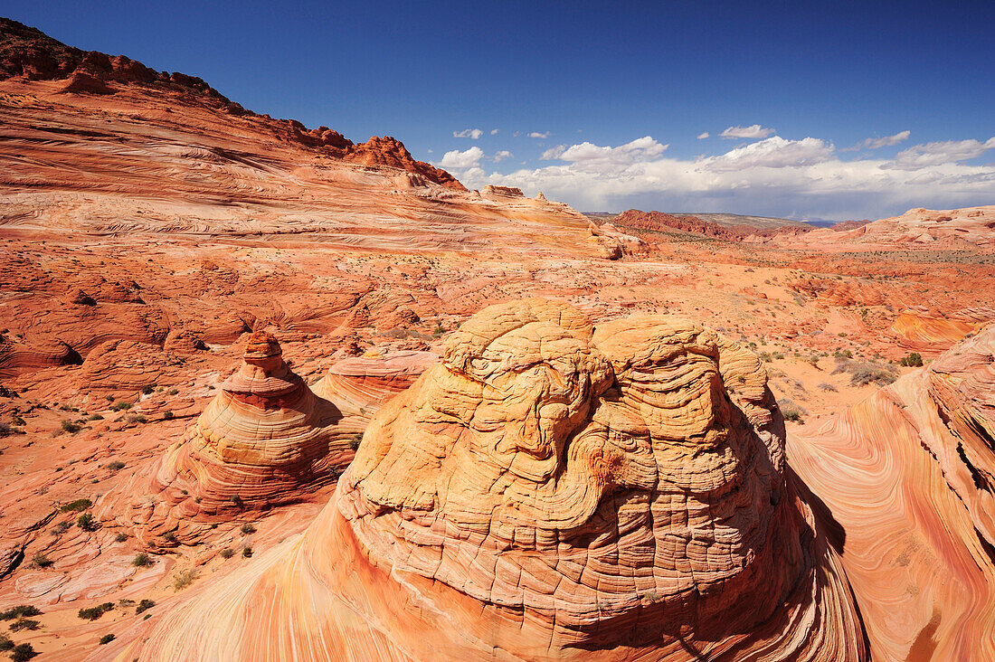 Bunte Sandsteinkegel und Felsengehirn, Coyote Buttes, Paria Canyon, Vermilion Cliffs National Monument, Arizona, Südwesten, USA, Amerika
