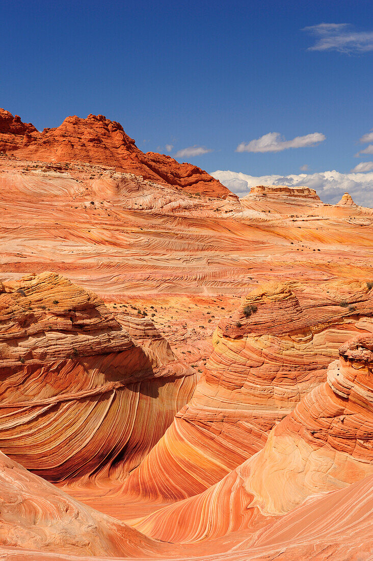 Red sandstone formation, The Wave, Coyote Buttes, Paria Canyon, Vermilion Cliffs National Monument, Arizona, Southwest, USA, America