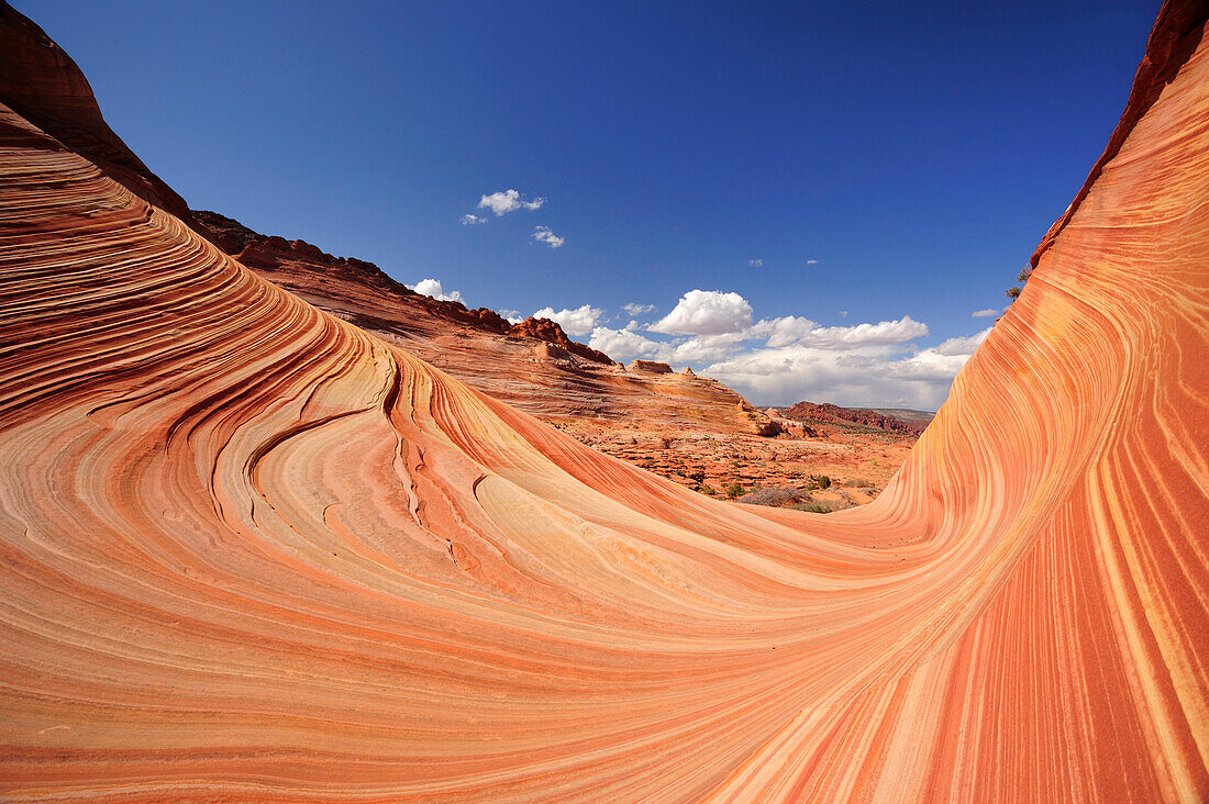 Rote Sandsteinformation, The Wave, Coyote Buttes, Paria Canyon, Vermilion Cliffs National Monument, Arizona, Südwesten, USA, Amerika