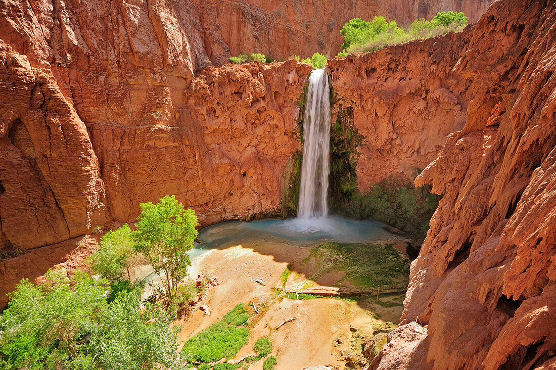 Wasserfall Mooney Fall, Havasu, Supai, Grand Canyon, Grand Canyon Nationalpark, UNESCO Weltnaturerbe Grand Canyon, Arizona, Südwesten, USA, Amerika