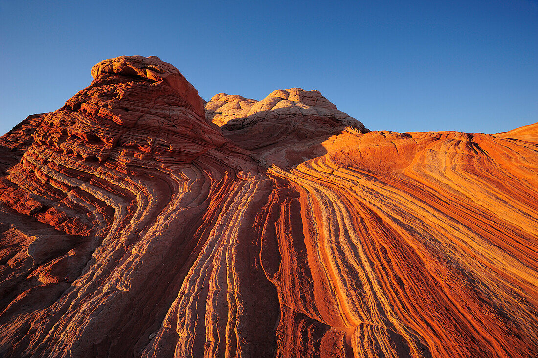 Bunte Sandsteinformation, Paria Canyon, Vermilion Cliffs National Monument, Arizona, Südwesten, USA, Amerika