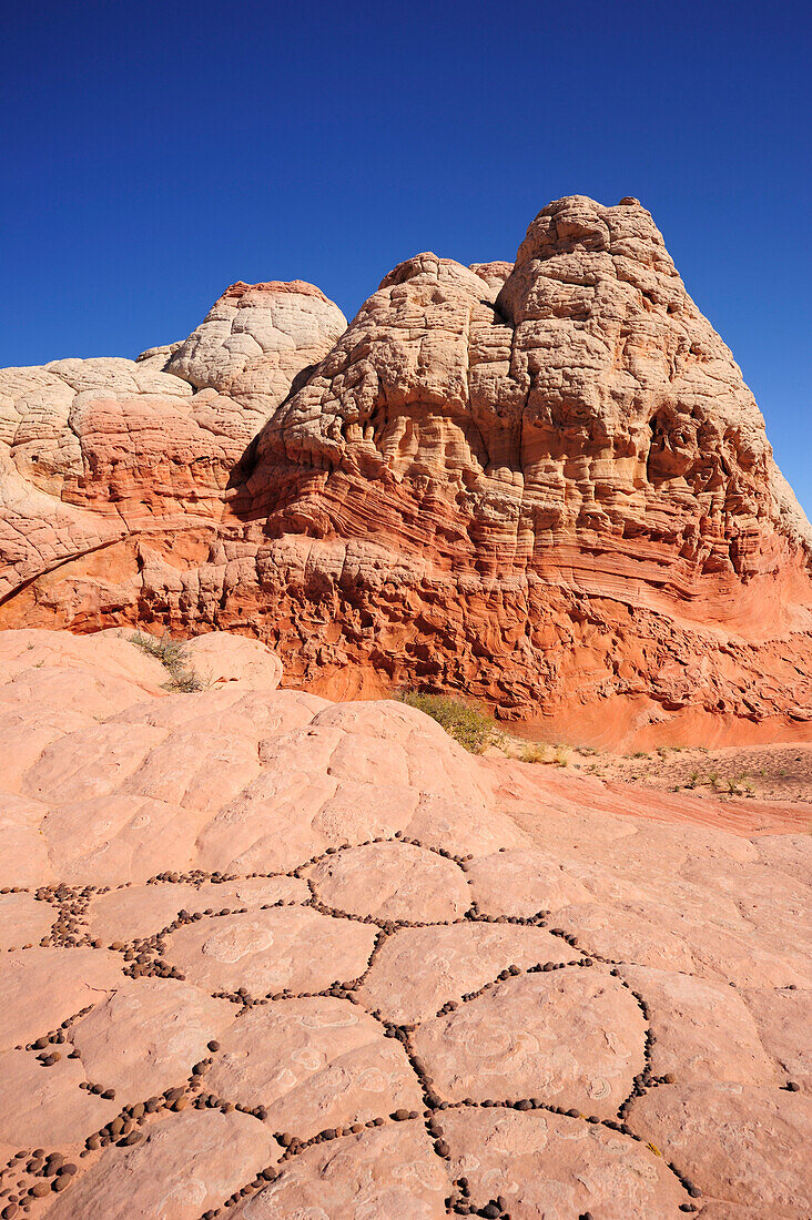 Bunte Sandsteinformation, Paria Canyon, Vermilion Cliffs National Monument, Arizona, Südwesten, USA, Amerika