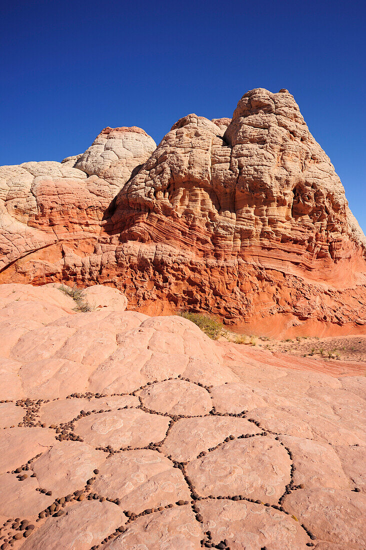 Colourful formation of sandstone, Paria Canyon, Vermilion Cliffs National Monument, Arizona, Southwest, USA, America