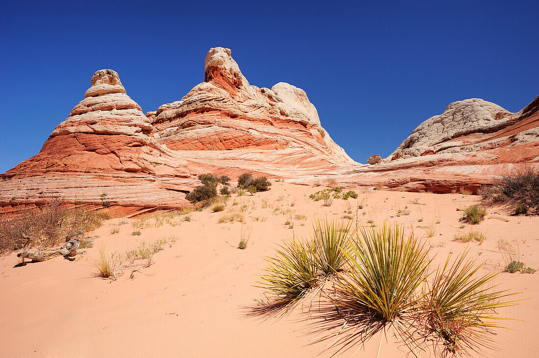 Bunte Sandsteinkegel, Paria Canyon, Vermilion Cliffs National Monument, Arizona, Südwesten, USA, Amerika