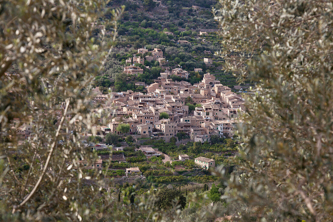 Most beautiful village in Spain, Fornalutx, valley of oranges, olive trees, Fornalutx, Serra de Tramuntana, UNESCO World Nature Site, Mallorca, Spain