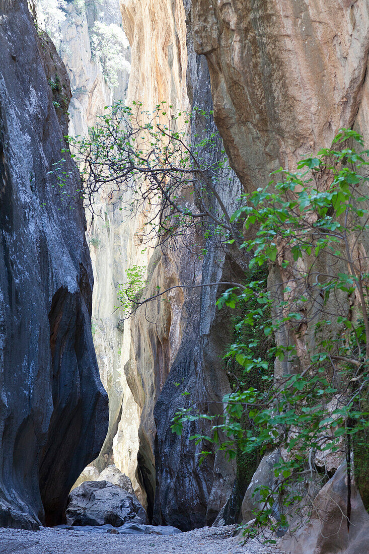 Hiking, canyon Torrent de Pareis, Cala de Sa Calobra, Serra de Tramuntana, UNESCO Weltnaturerbe, Mallorca, Spain