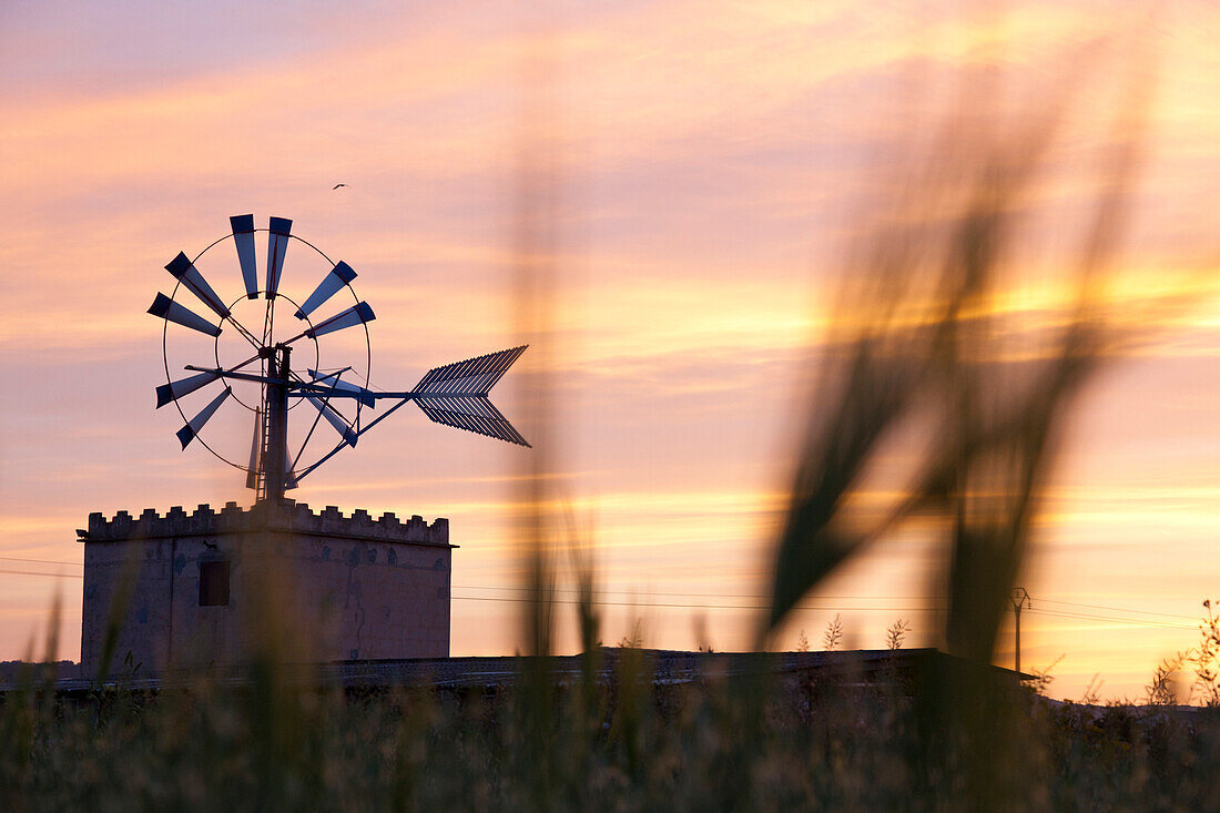 Wind mill at sunset, symbol of Mallorca, Es Pla, near Palma de Mallorca, Spain