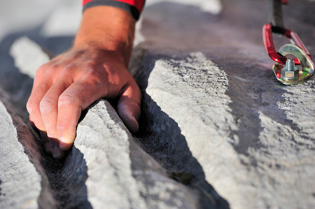 Climbers hand at water crack, bilt with carabiner, Multerkarwand, Treffauer, Wegscheidalm, Wilder Kaiser, Kaiser Mountain Range, Tyrol, Austria