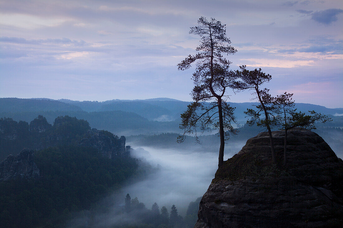 Blick von der Felsenburg Neurathen über den Wehlgrund, Bastei, Nationalpark Sächsische Schweiz, Elbsandsteingebirge, Sachsen, Deutschland, Europa