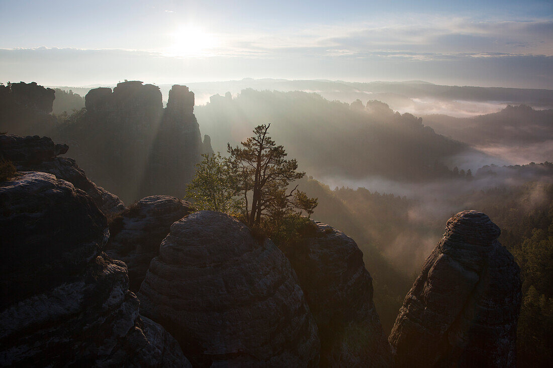 View from Felsenburg Neurathen over the Wehlgrund valley onto the Goose Rocks, Bastei Rocks, National Park Saxon Switzerland, Elbe Sandstone Mountains, Saxony, Germany, Europe