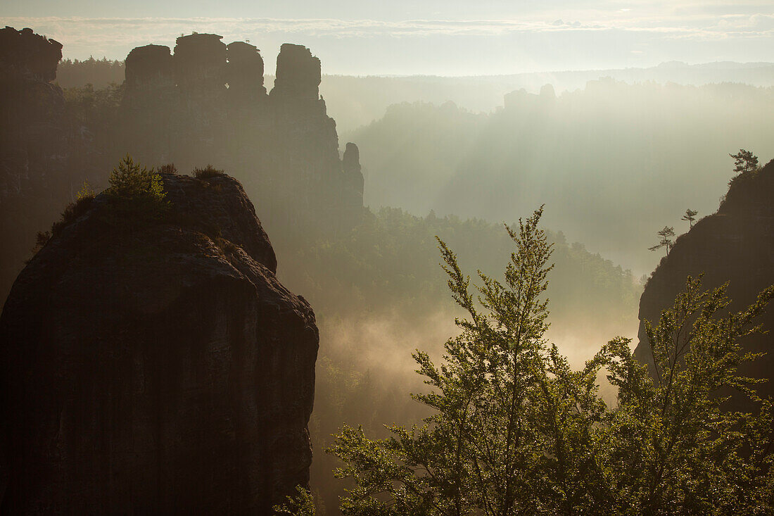 Blick von der Felsenburg Neurathen über den Wehlgrund zu den Gansfelsen, Bastei, Nationalpark Sächsische Schweiz, Elbsandsteingebirge, Sachsen, Deutschland, Europa