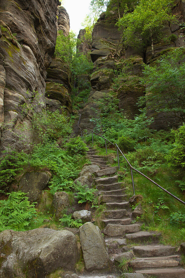 Steiler Aufstieg über Steinstufen zum Pfaffenstein, Nationalpark Sächsische Schweiz, Elbsandsteingebirge, Sachsen, Deutschland, Europa
