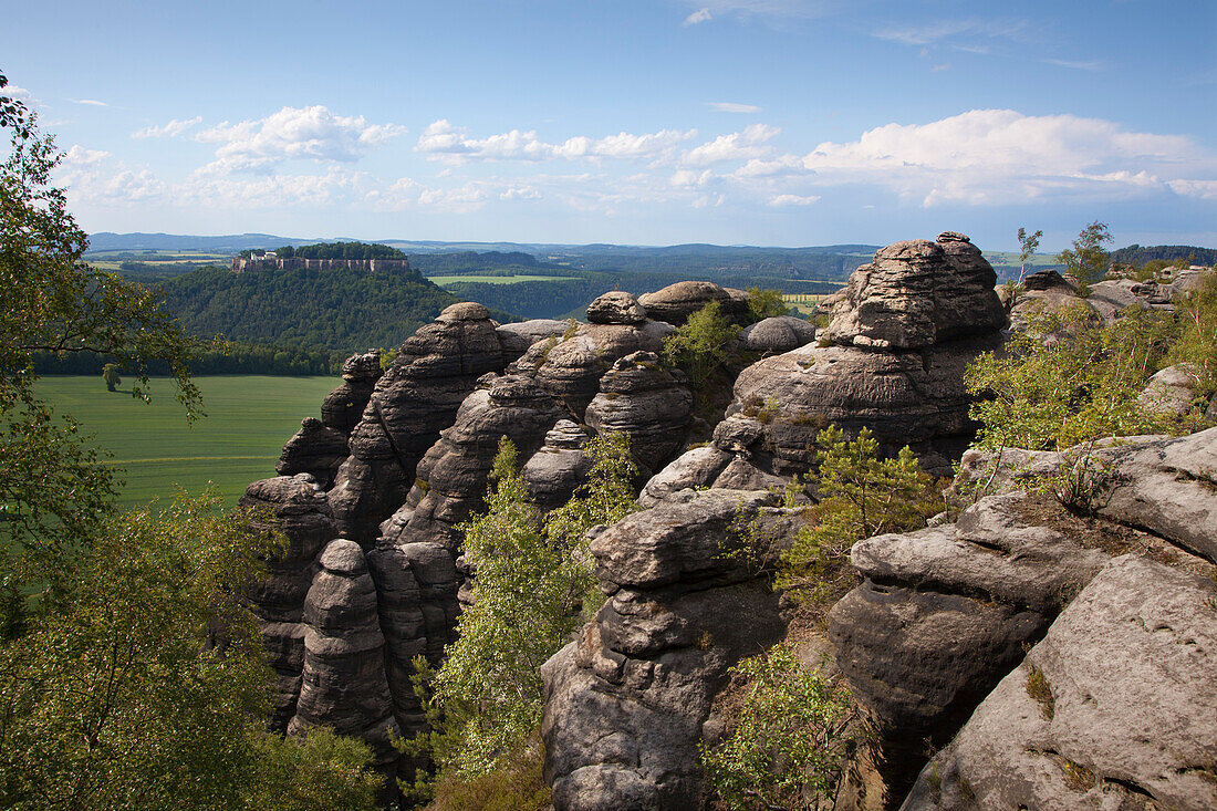 Blick vom Pfaffenstein zur Festung Königstein, Nationalpark Sächsische Schweiz, Elbsandsteingebirge, Sachsen, Deutschland, Europa