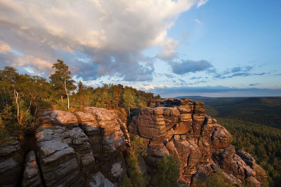 Felsformation am Pfaffenstein im Abendlicht, Nationalpark Sächsische Schweiz, Elbsandsteingebirge, Sachsen, Deutschland, Europa