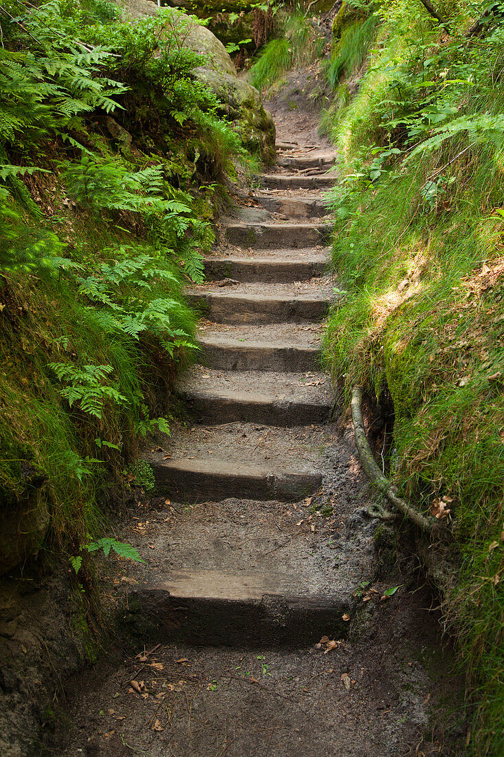 Aufstieg über Treppenstufen zu den Schrammsteinen, Nationalpark Sächsische Schweiz, Elbsandsteingebirge, Sachsen, Deutschland, Europa
