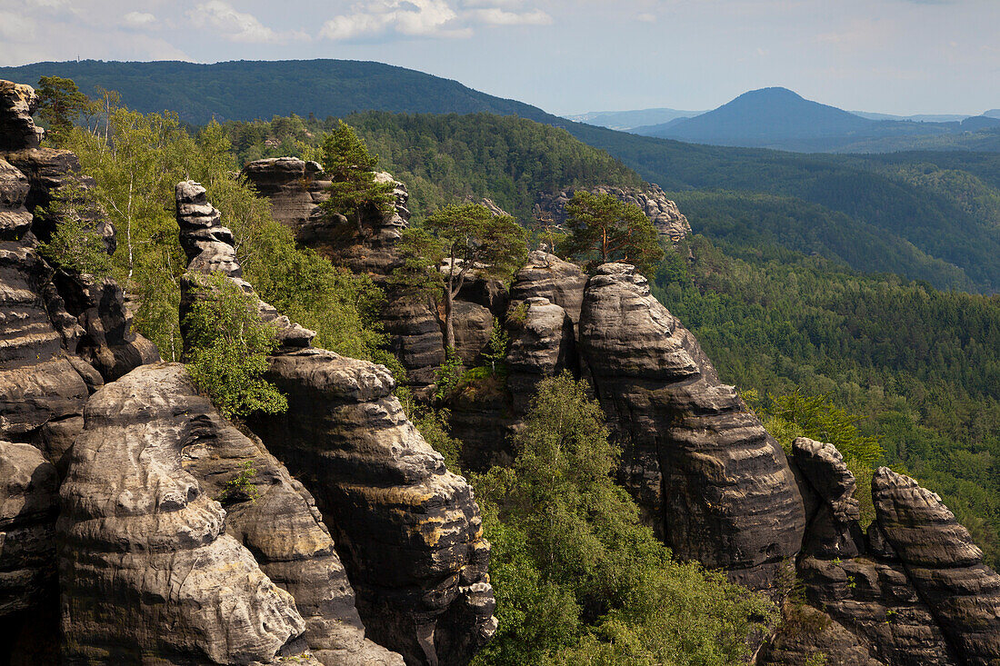 Blick von den Schrammsteinen zum Großen Winterberg, Nationalpark Sächsische Schweiz, Elbsandsteingebirge, Sachsen, Deutschland, Europa