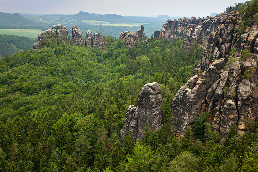 Blick auf die Schrammsteine, Nationalpark Sächsische Schweiz, Elbsandsteingebirge, Sachsen, Deutschland, Europa