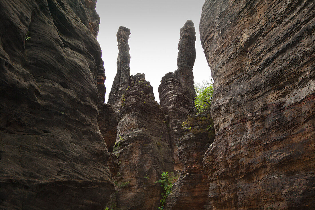 Hercules Towers at Bielatal valley, National Park Saxon Switzerland, Elbe Sandstone Mountains, Saxony, Germany, Europe