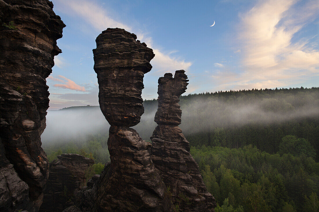 Hercules Towers at Bielatal valley, National Park Saxon Switzerland, Elbe Sandstone Mountains, Saxony, Germany, Europe