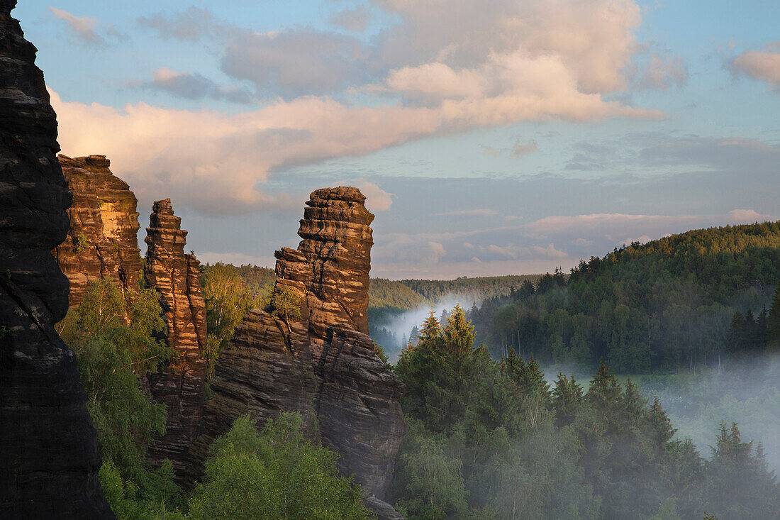 Leaning Tower at Bielatal valley, National Park Saxon Switzerland, Elbe Sandstone Mountains, Saxony, Germany, Europe