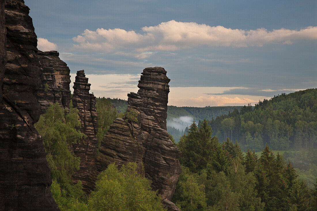 Leaning Tower at Bielatal valley, National Park Saxon Switzerland, Elbe Sandstone Mountains, Saxony, Germany, Europe