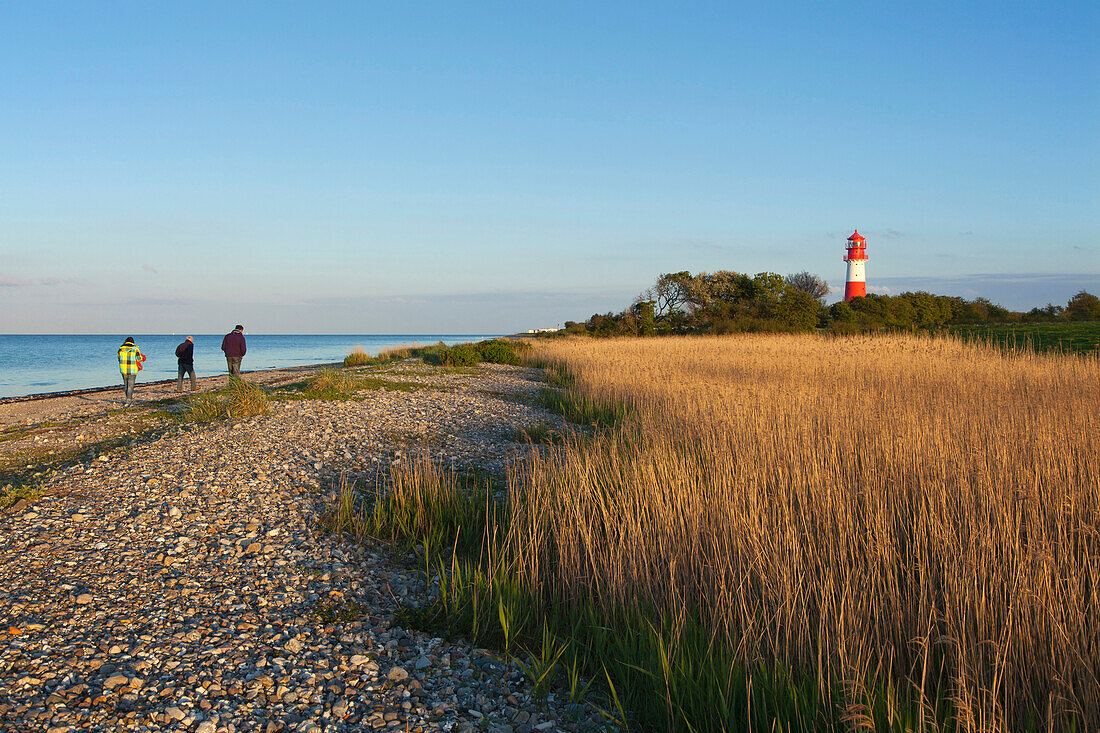 Menschen am Strand vor Leuchtturm Falshöft, Pommerby, Ostsee, Schleswig-Holstein, Deutschland, Europa