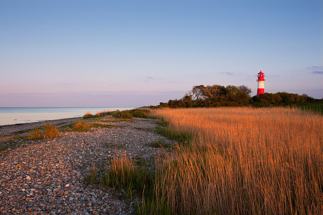 Leuchtturm Falshöft im Abendlicht, Pommerby, Ostsee, Schleswig-Holstein, Deutschland, Europa