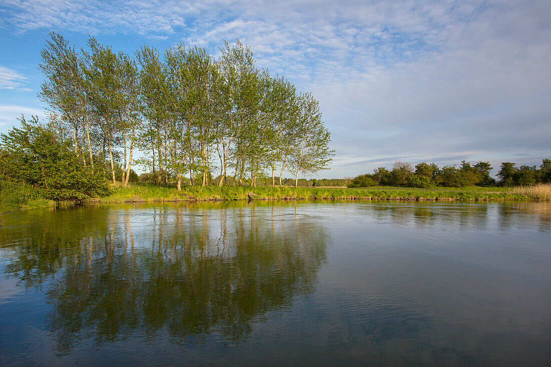 Landschaftsschutzgebiet Haddebyer Noor unter Wolkenhimmel, Schlei, Ostsee, Schleswig-Holstein, Deutschland, Europa