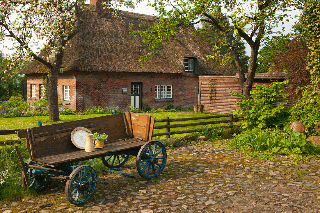 Wooden carriage with jar and plate in front of a house with thatched roof, Sieseby, Baltic Sea, Schleswig-Holstein, Germany, Europe