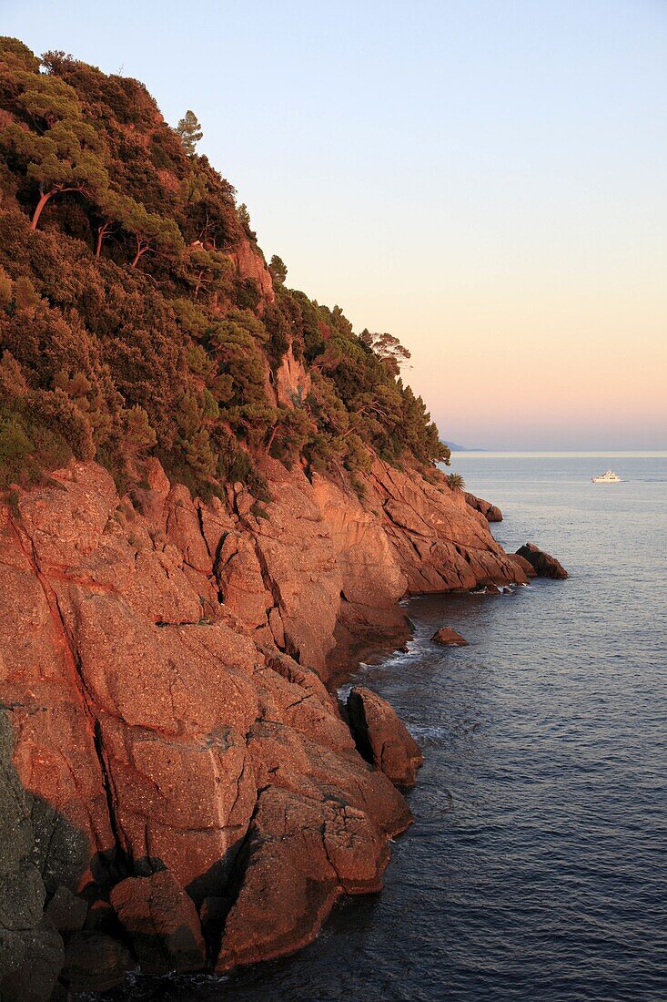 Italy, Liguria, Portofino, seaside cliffs, landscape