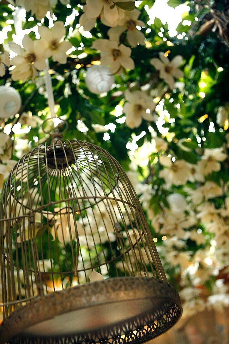 Cage and flowers