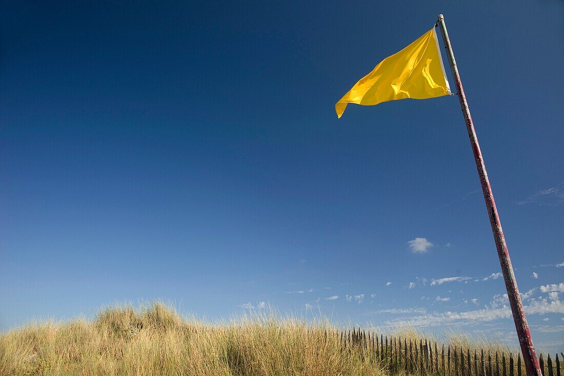 Swimming yellow flag, sand dune of la Torche land end, Plomeur, Finistère, Britany, France