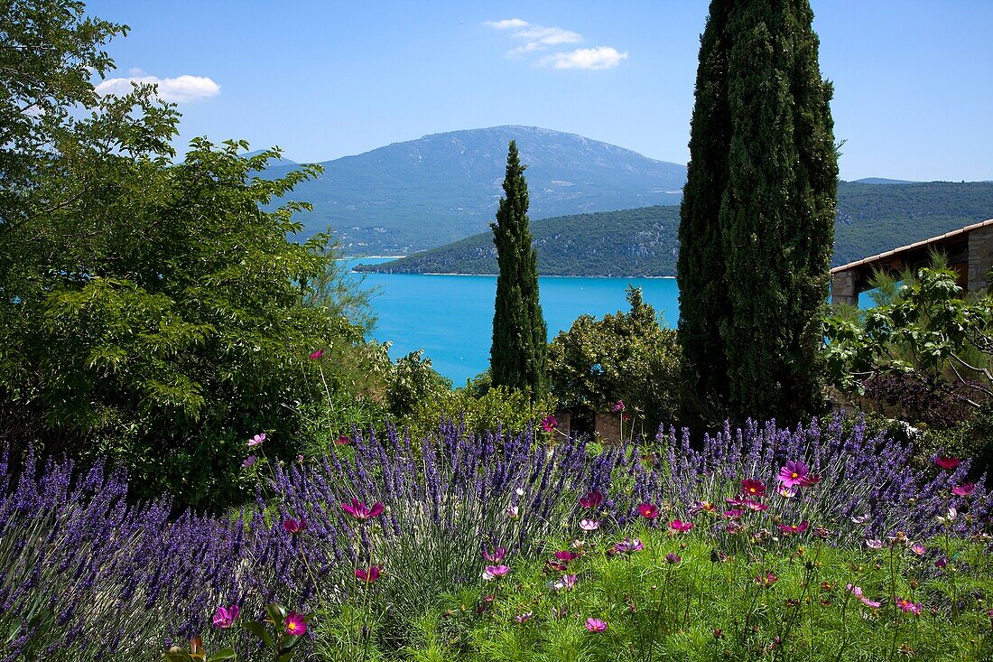 Southern France, Alpes de Haute Provence, Verdon lake, garden