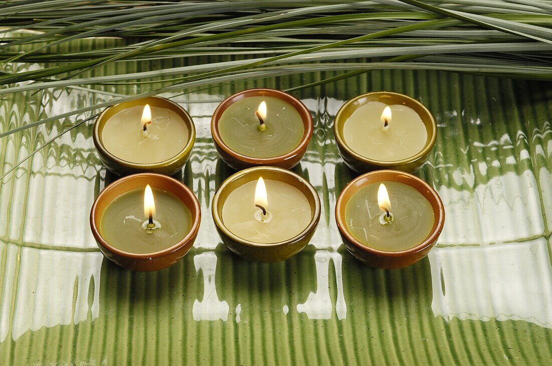 Six lightened candles on green porcelaine